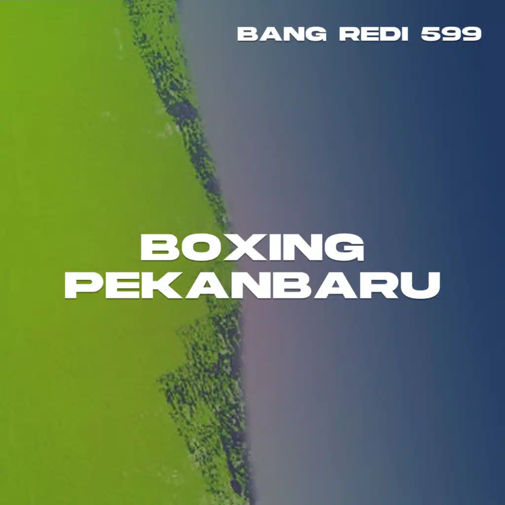 BANG REDI 599