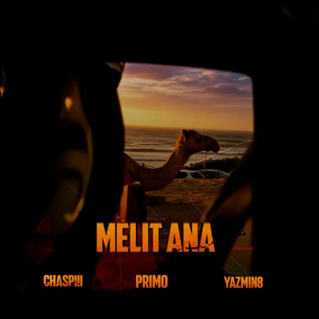 MELIT ANA