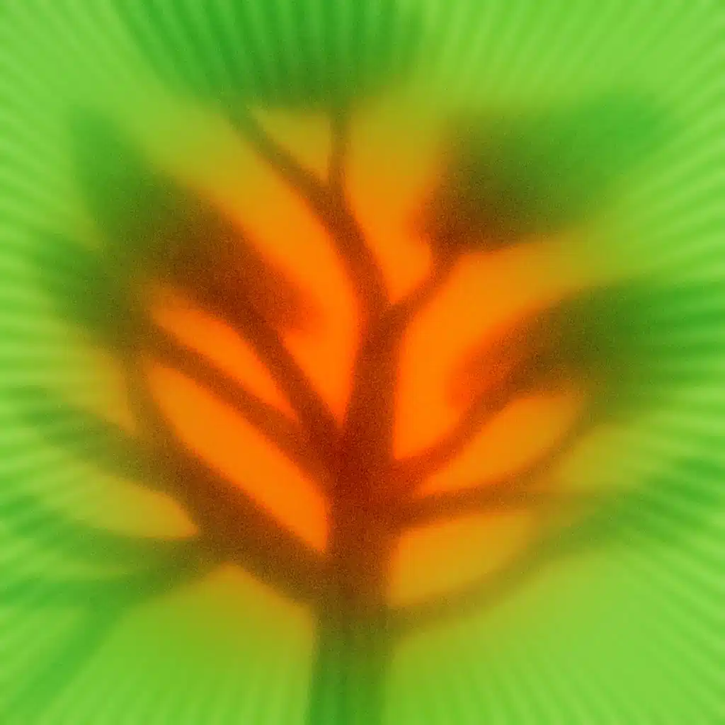 United Freedom Collective