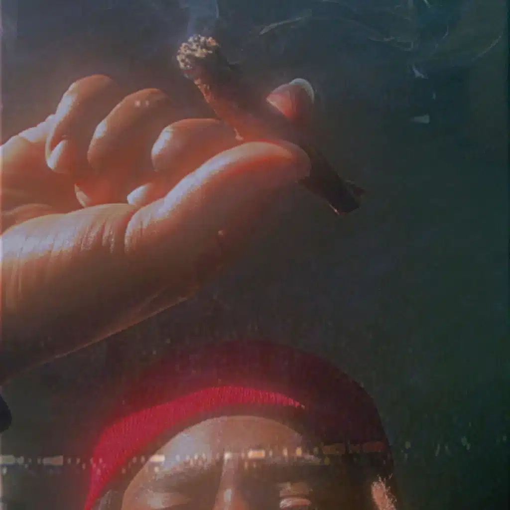 Don’t Forget My Love