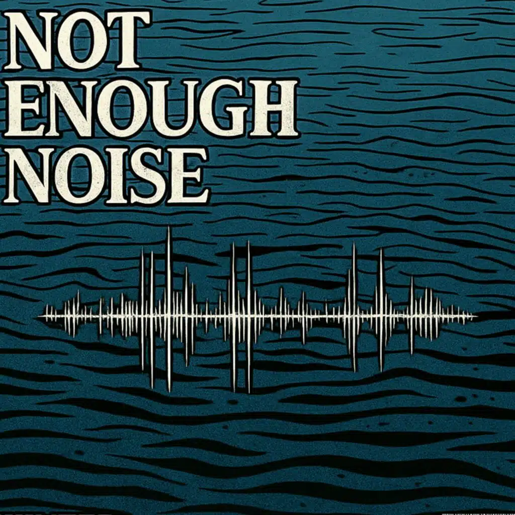 NOT ENOUGH NOISE