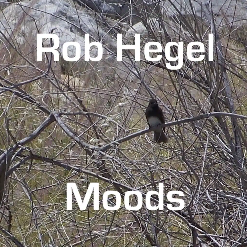 Rob Hegel