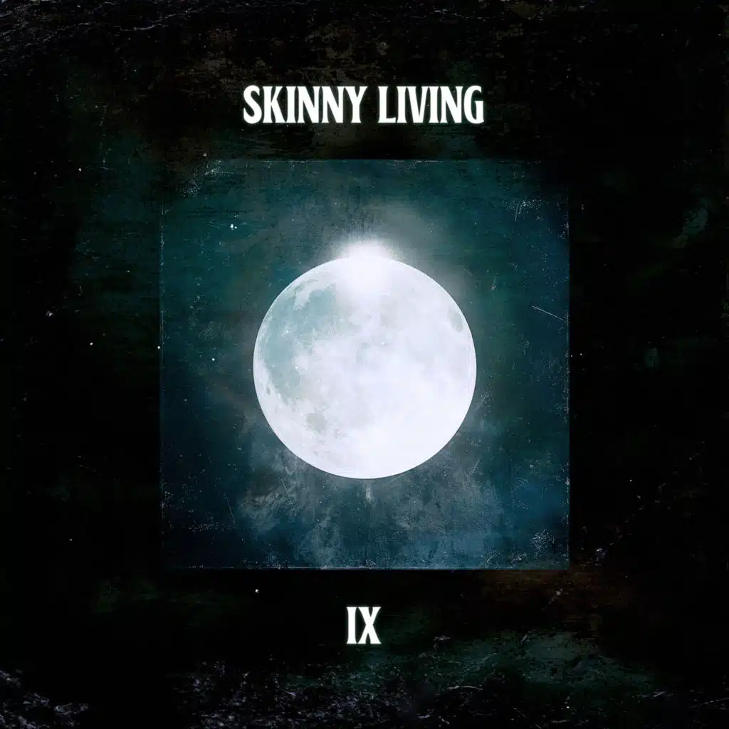 Up Here With The Birds