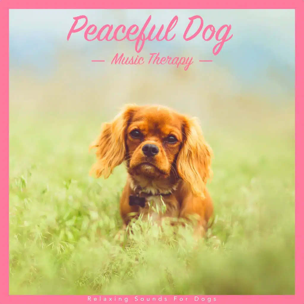 Peaceful Dog Music Therapy: Relaxing Sounds for Dogs