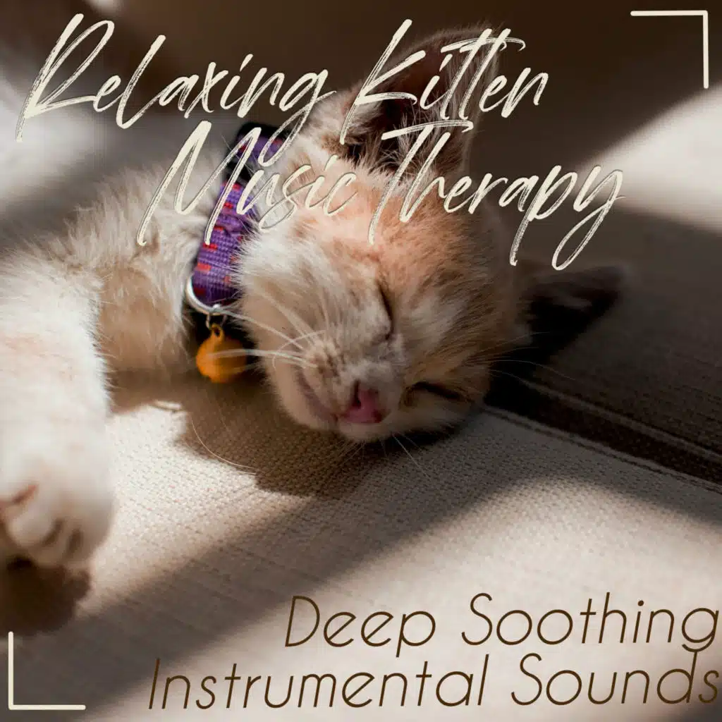Relaxing Kitten Music Therapy: Deep Soothing Instrumental Sounds