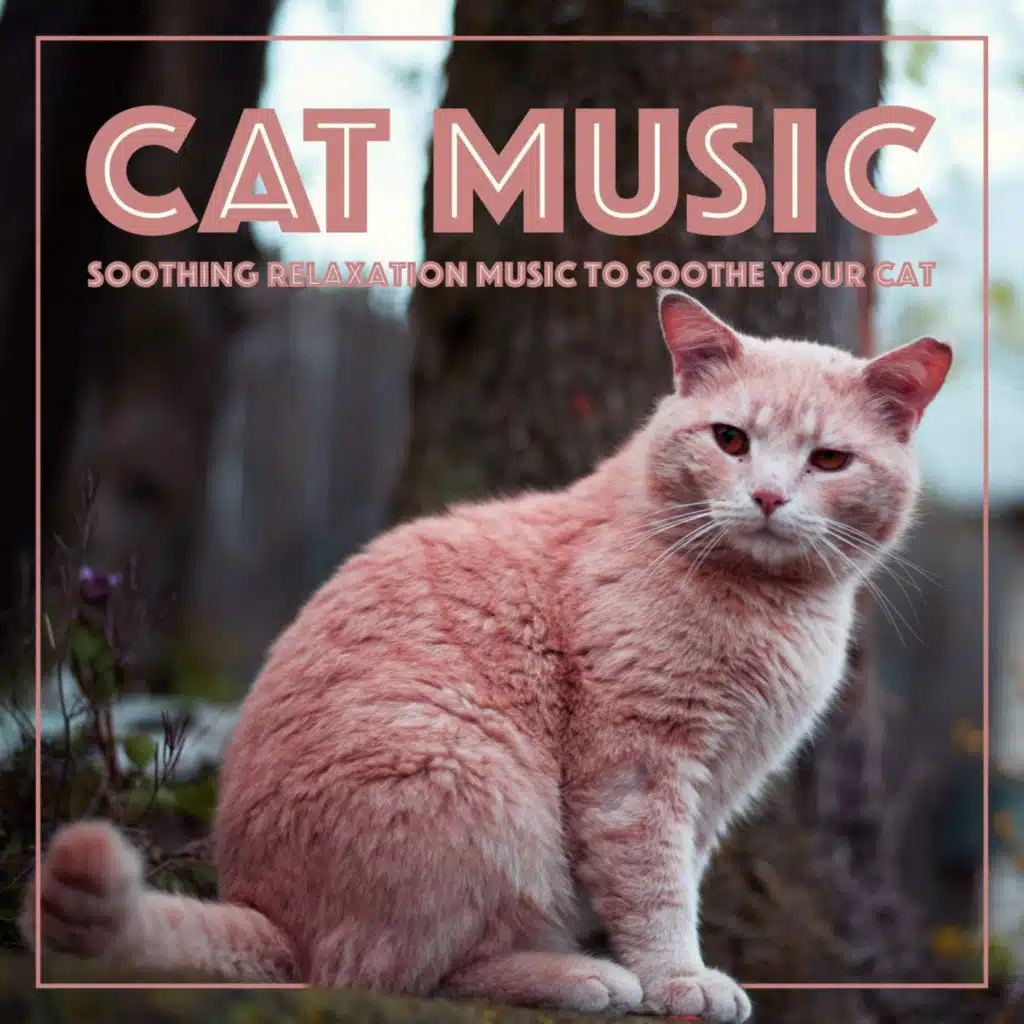 Cat Music: Soothing Relaxation Music to Soothe Your Cat