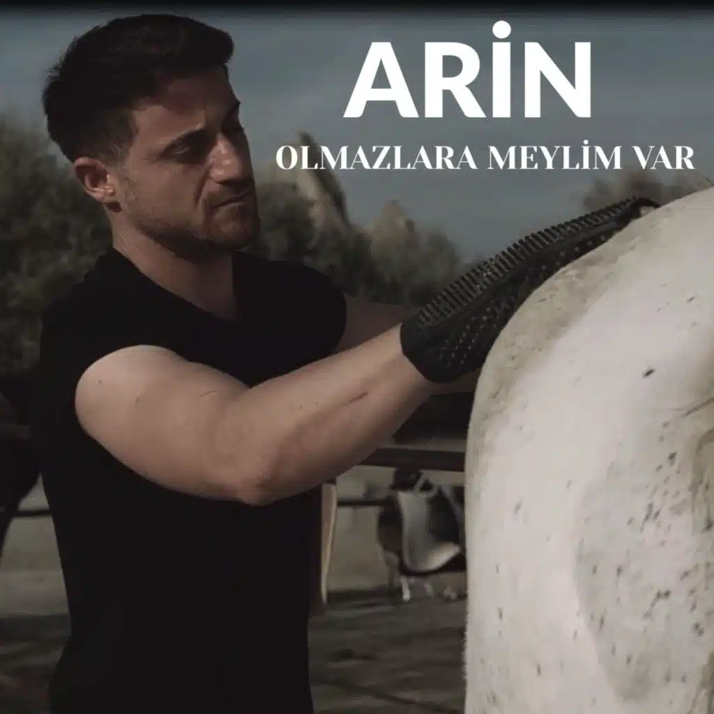 Arın