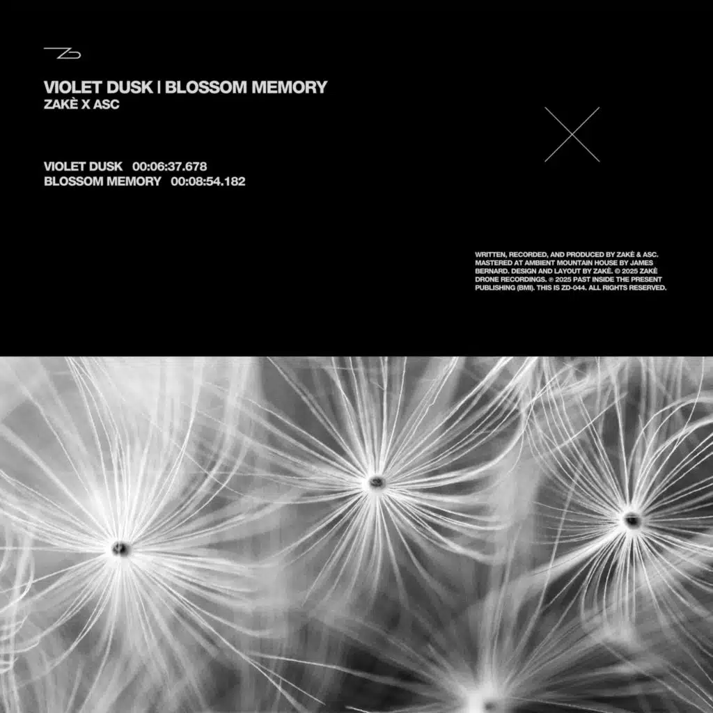 Violet Dusk | Blossom Memory