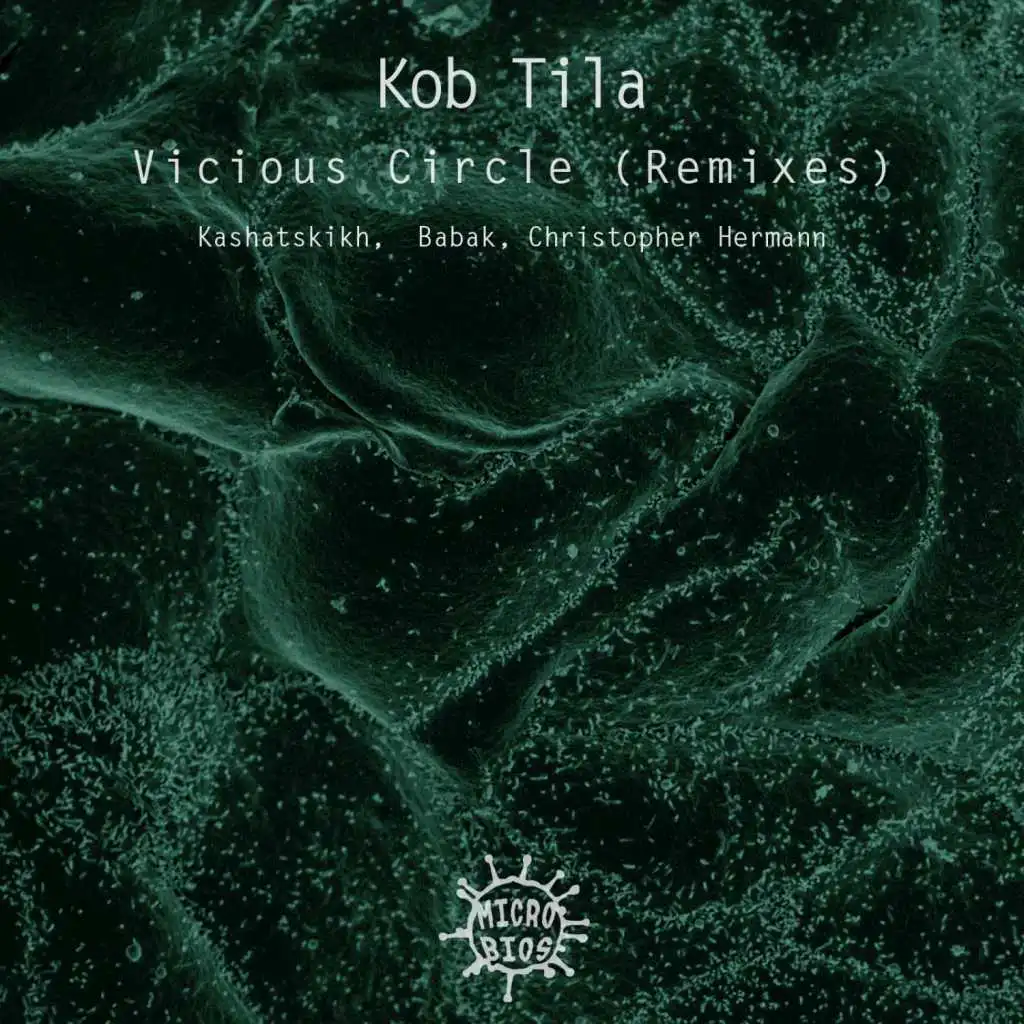 Vicious Circle (Remixes)