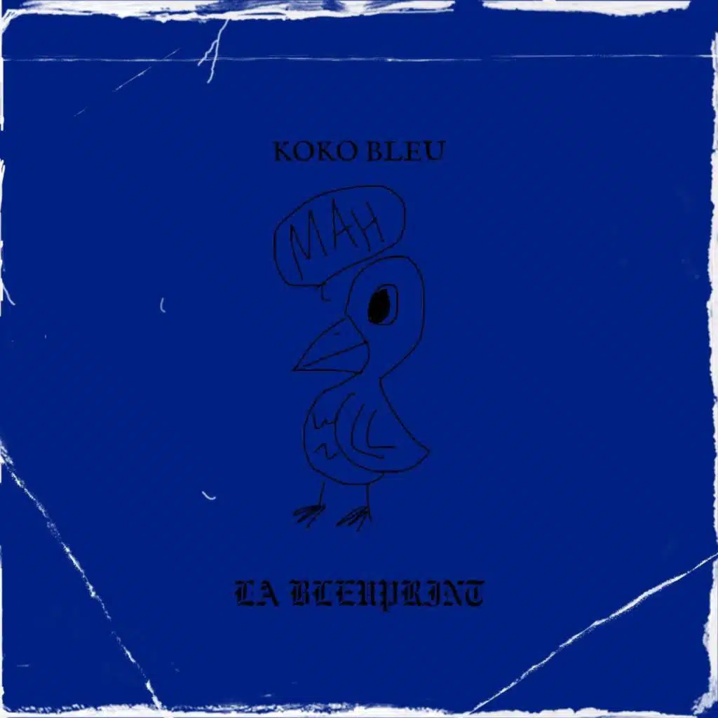 koko bleu