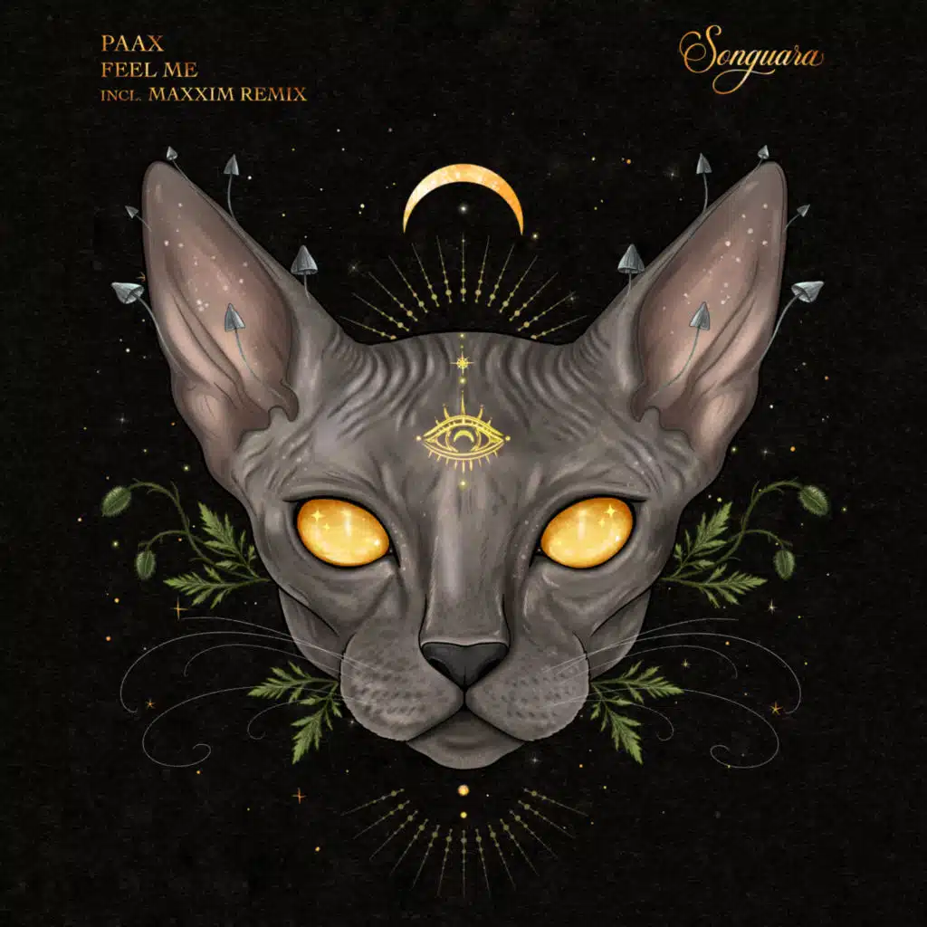 Feel Me (Live Band Version Extended)