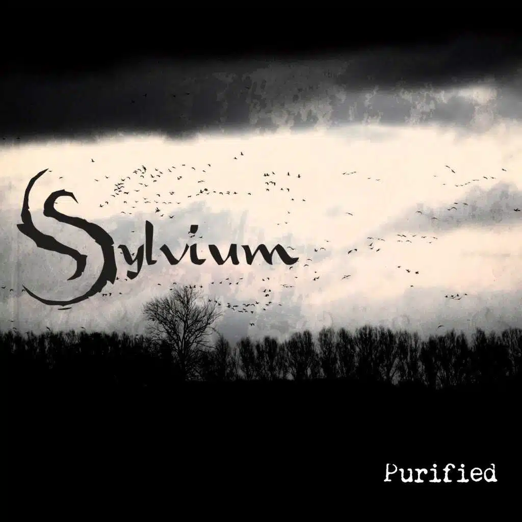 Purified