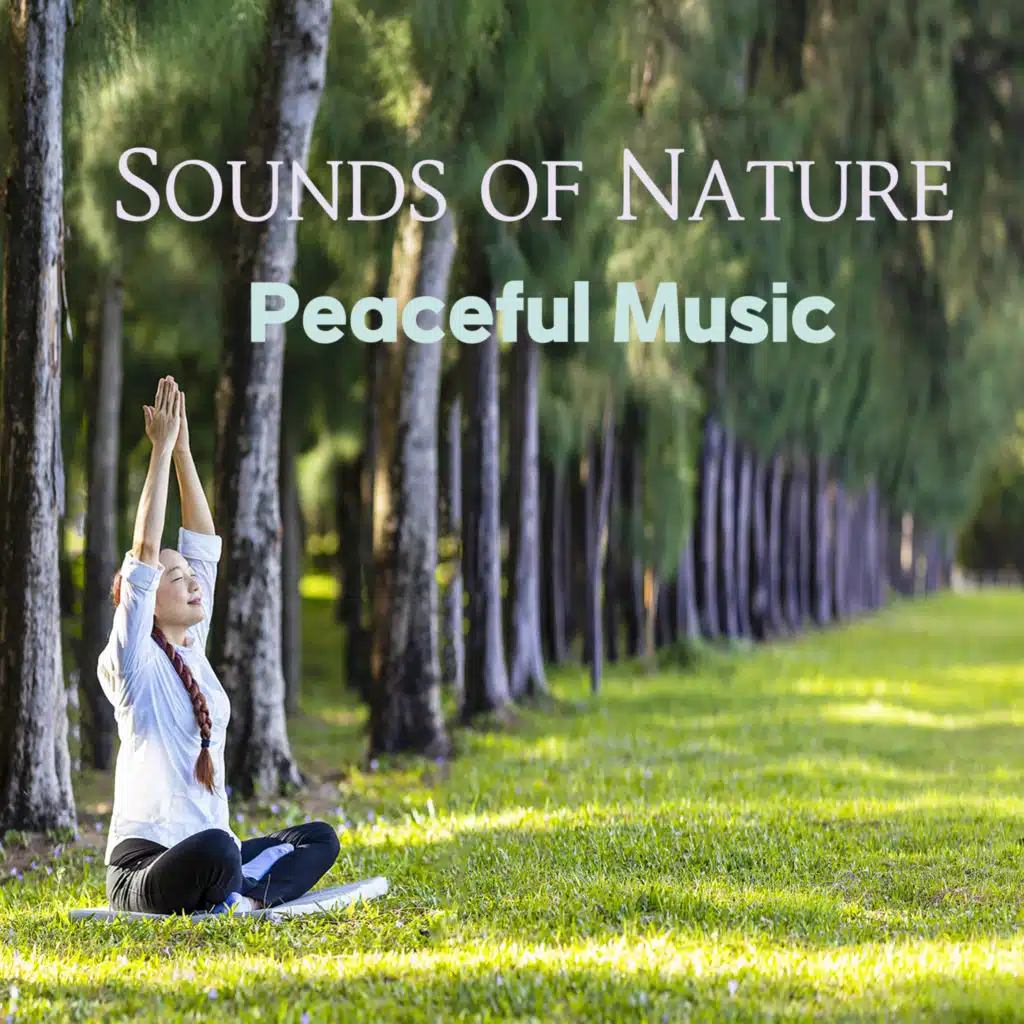 힐링 숲속으로 떠나는 명상 음악