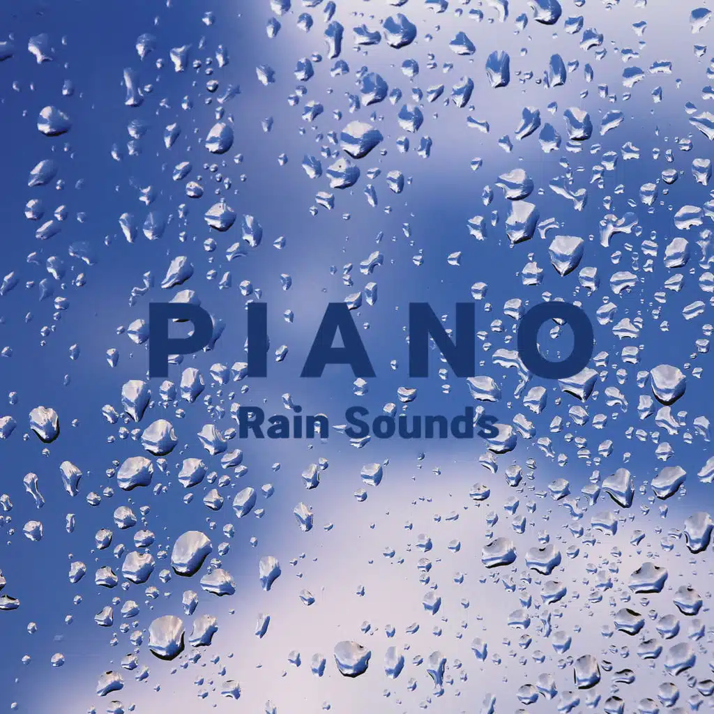 고요한 명상 (빗소리)