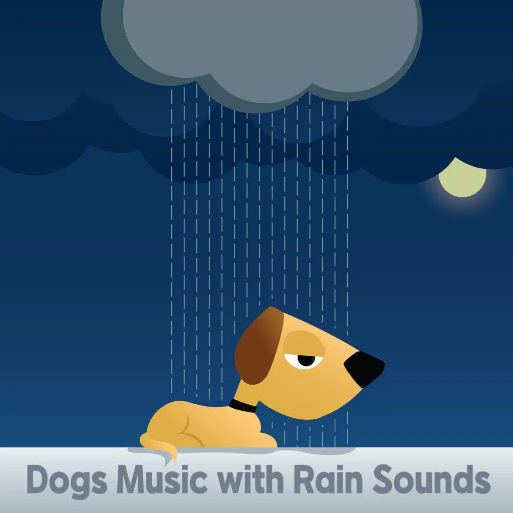 강아지가 좋아하는 잔잔한 빗소리 자장가