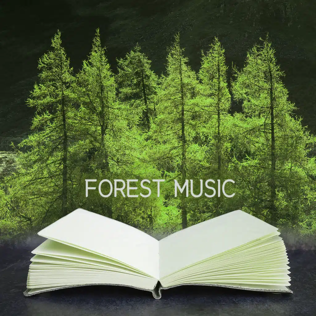 독서와 공부 집중이 잘되는 숲속의 음악