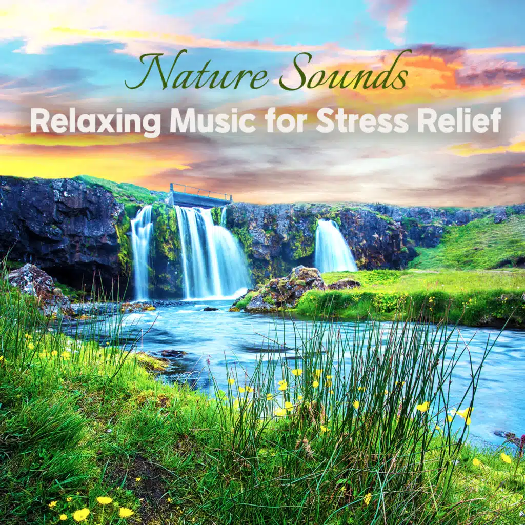 나를 찾아 떠나는 여행 (파도소리)