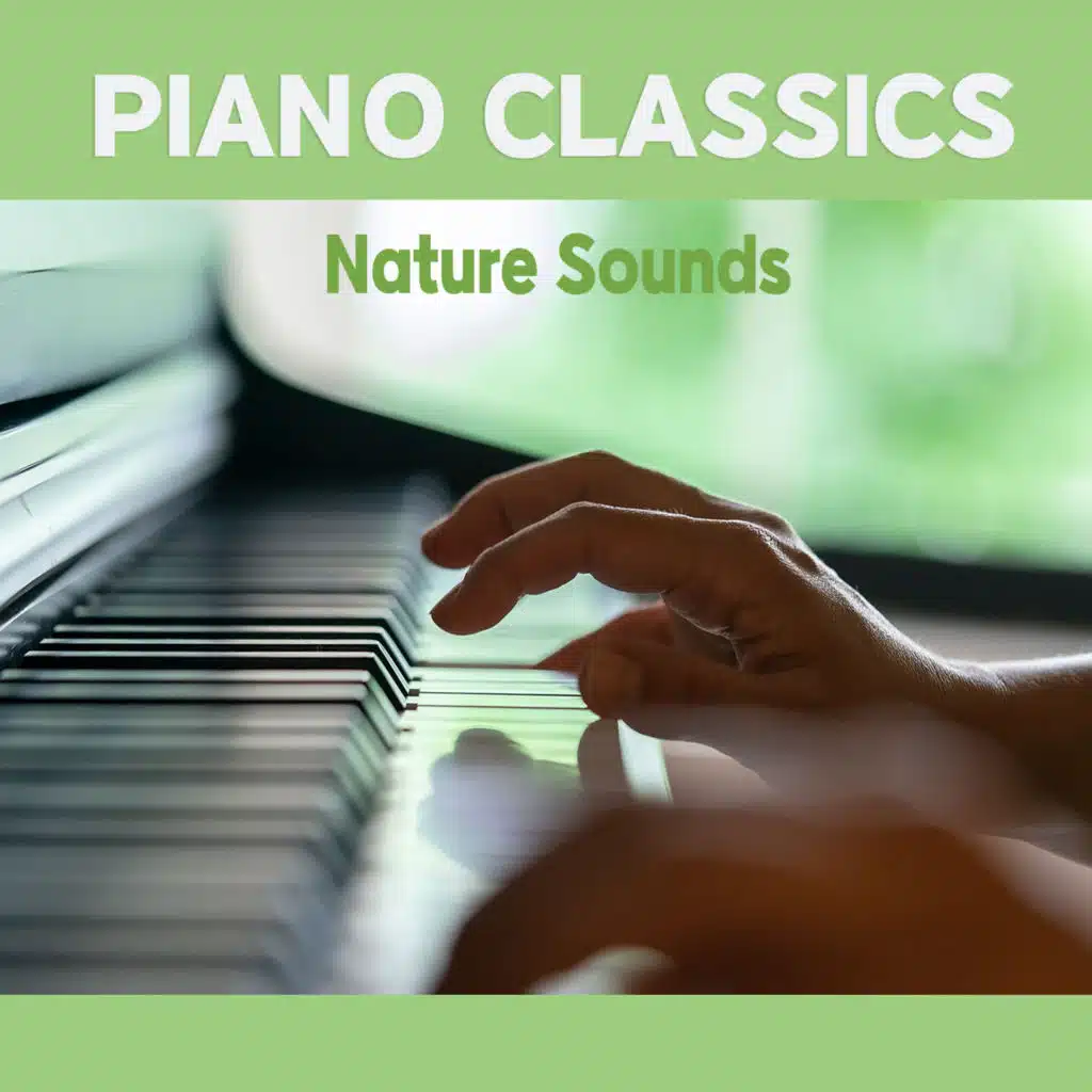 바흐 : 미뉴에트 (파도소리)