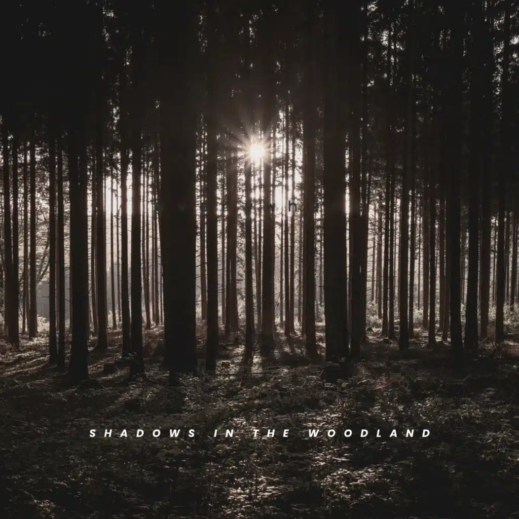 The Noisy Outdoors