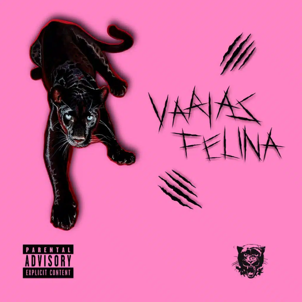 VÁRIAS FELINA (feat. Mc JT 13)