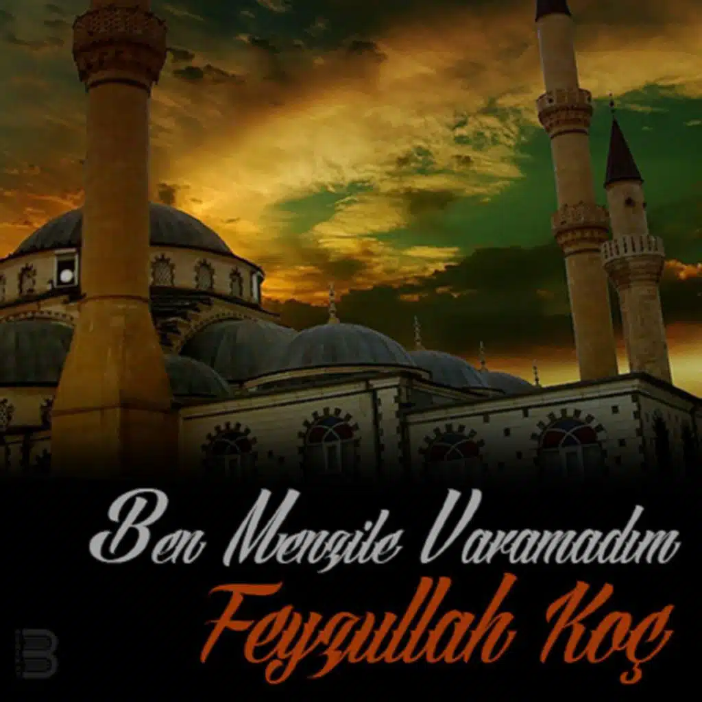 Ben Menzile Varamadım