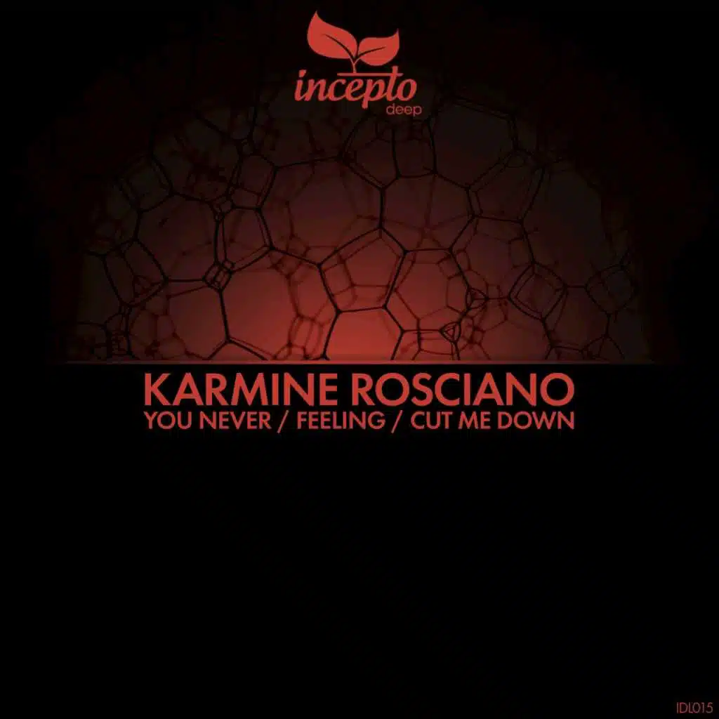 You Never / Feeling / Cut Me Down