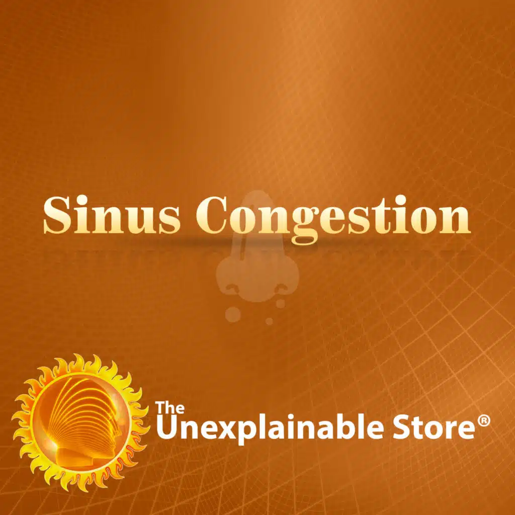 The Unexplainable Store