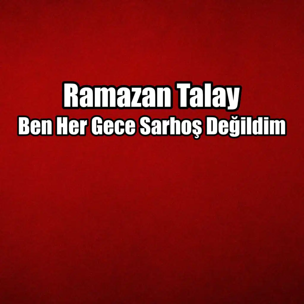 Ben Her Gece Sarhoş Değildim