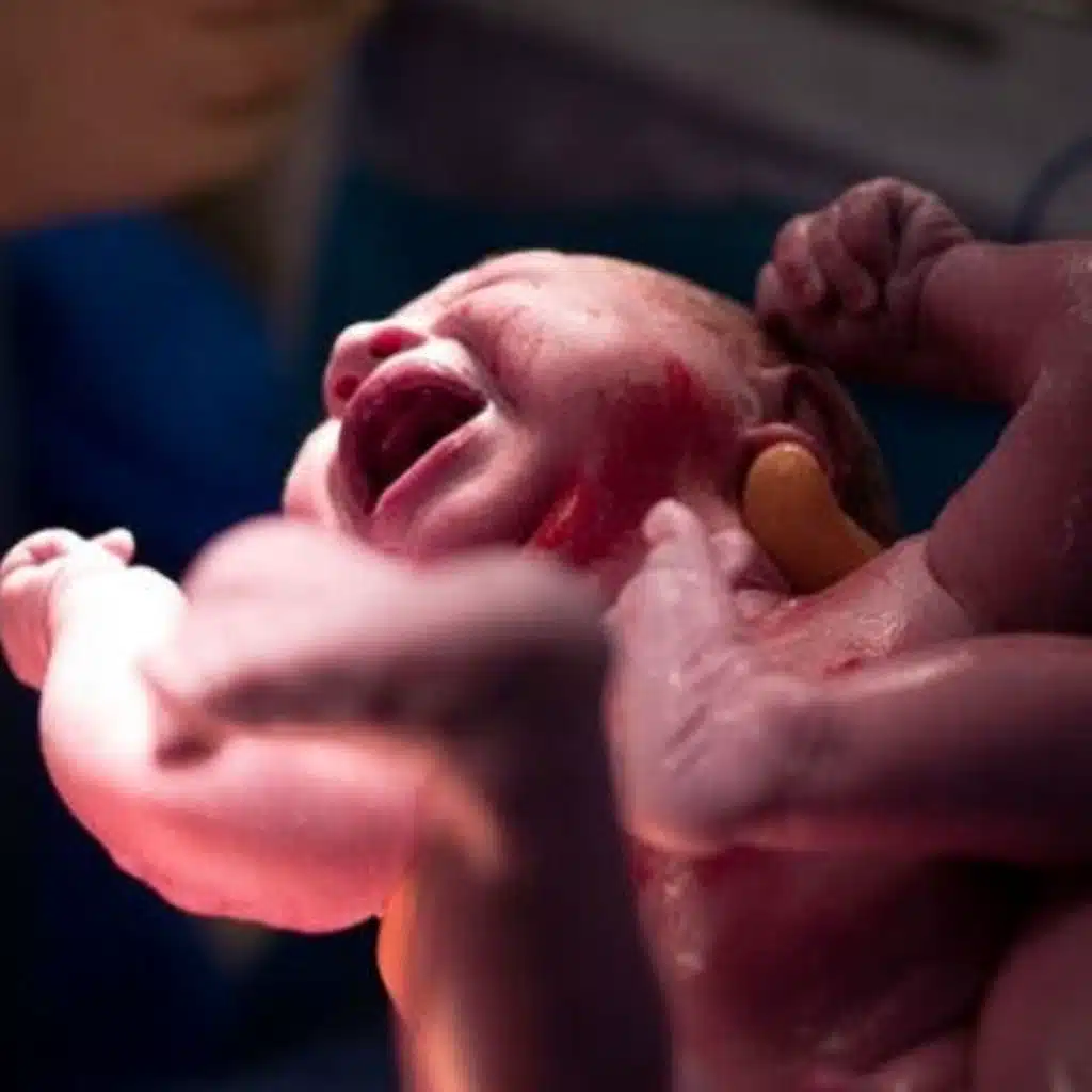 Placenta Benefits After Childbirth