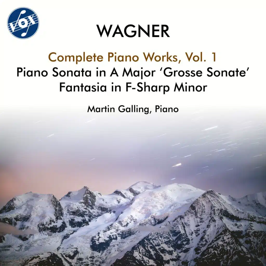 Fantasia in F-Sharp Minor, WWV 22: Recitativo - Più lento - Allegro agitato