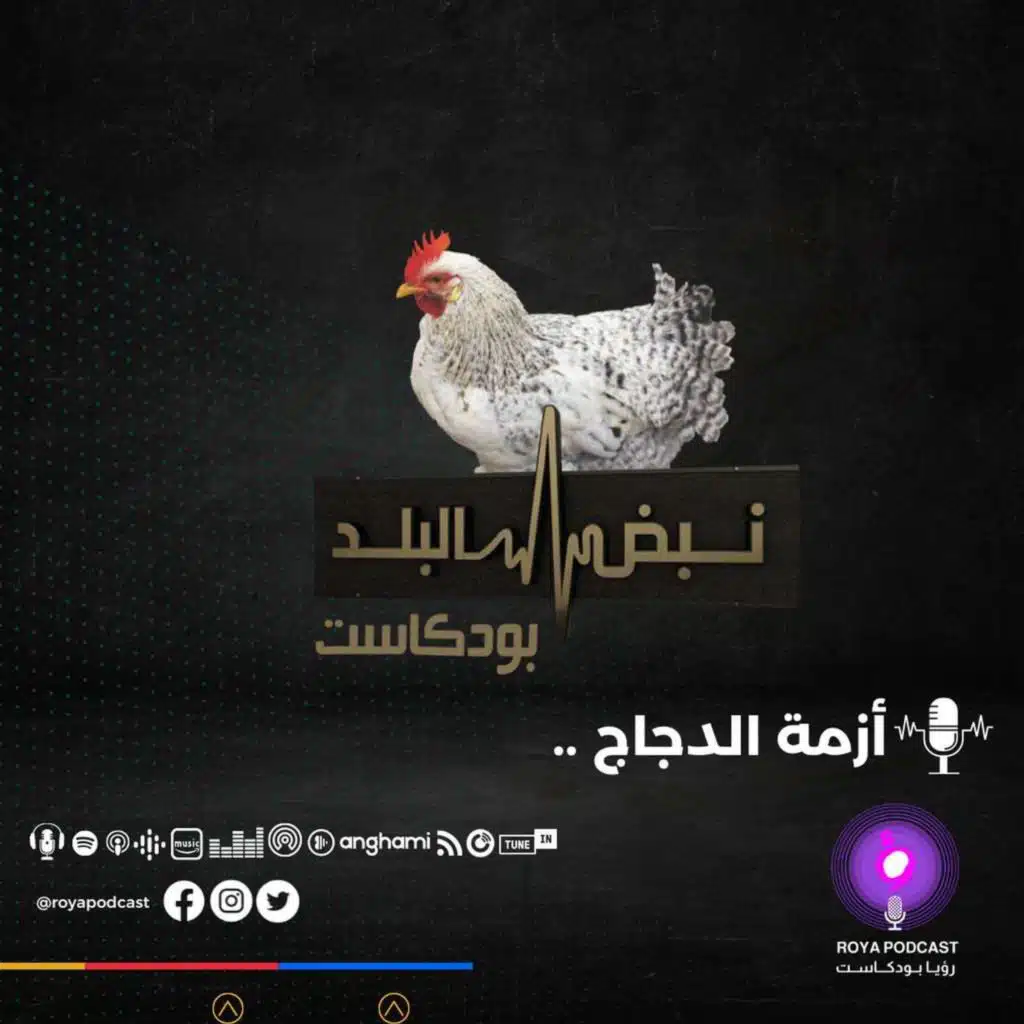أزمة الدجاج ..