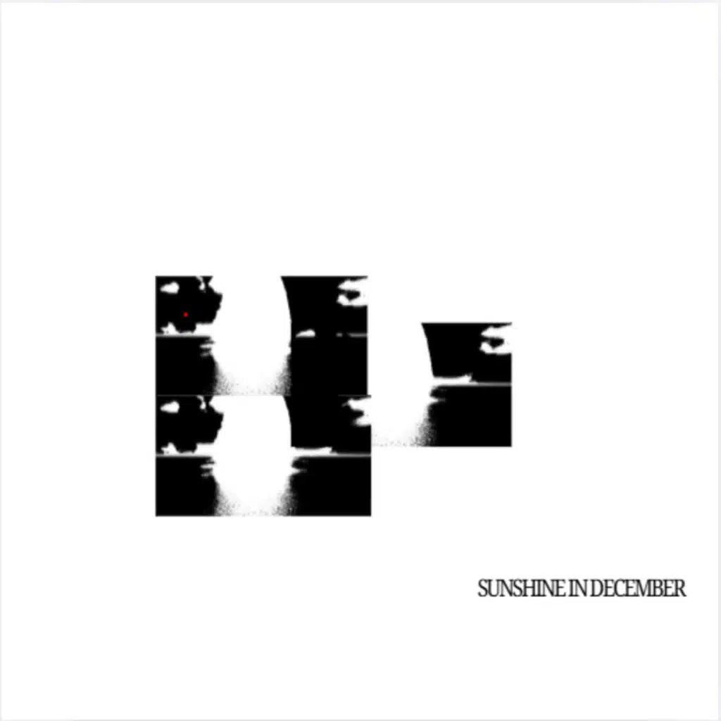 SUNSHINE IN DECEMBER