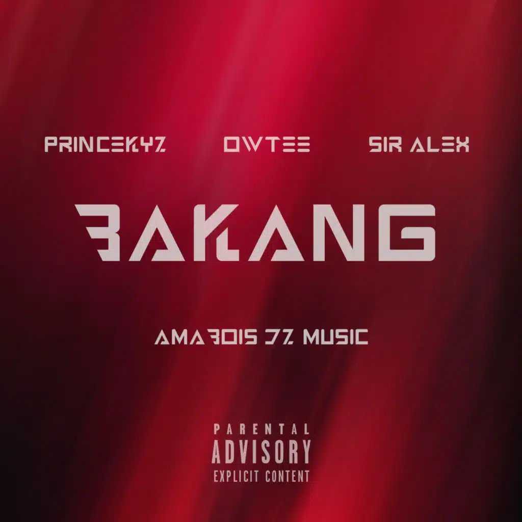 Bakang (feat. Amabois Dz Music)