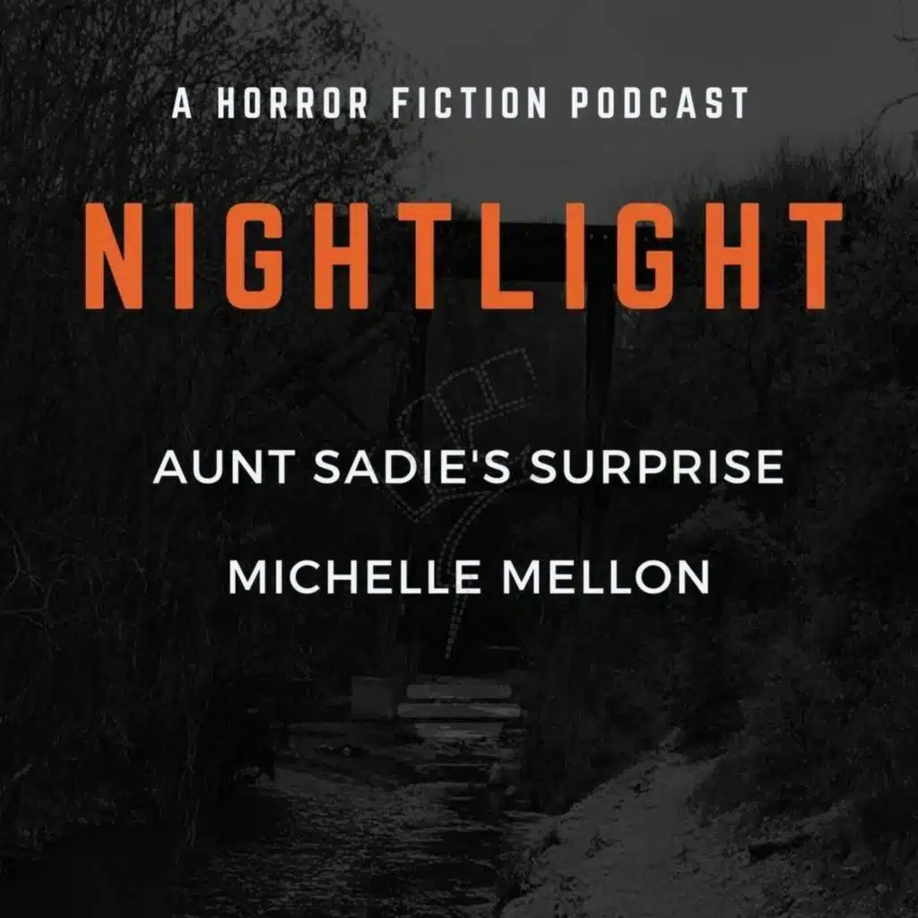 607: Aunt Sadie's Surprise by Michelle Mellon