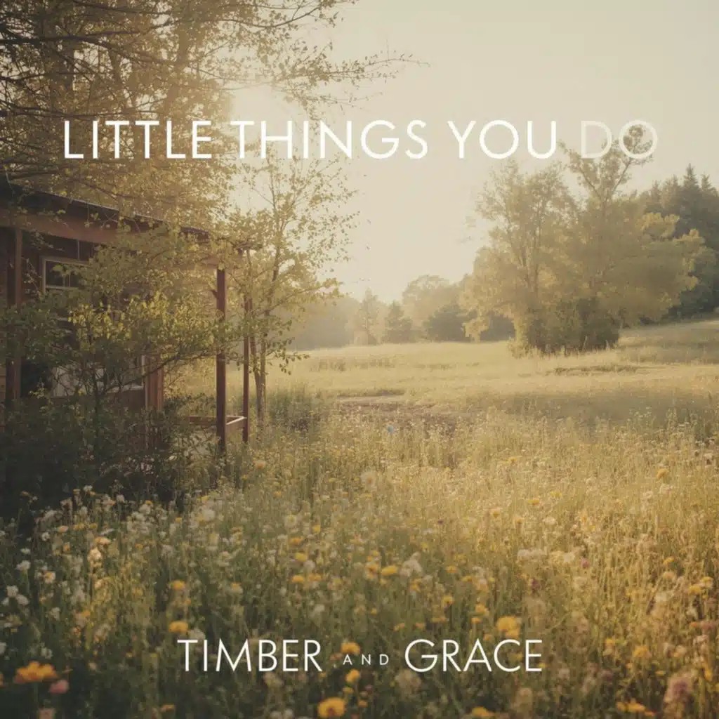 Little Things You Do