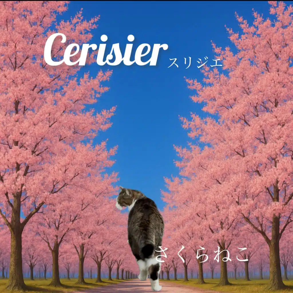 さくらねこ