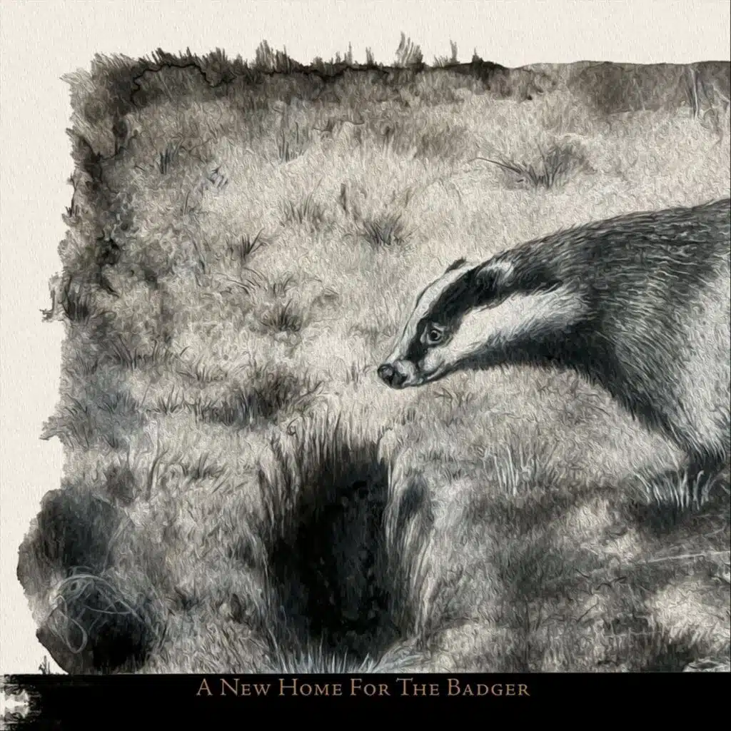 A New Home for the Badger