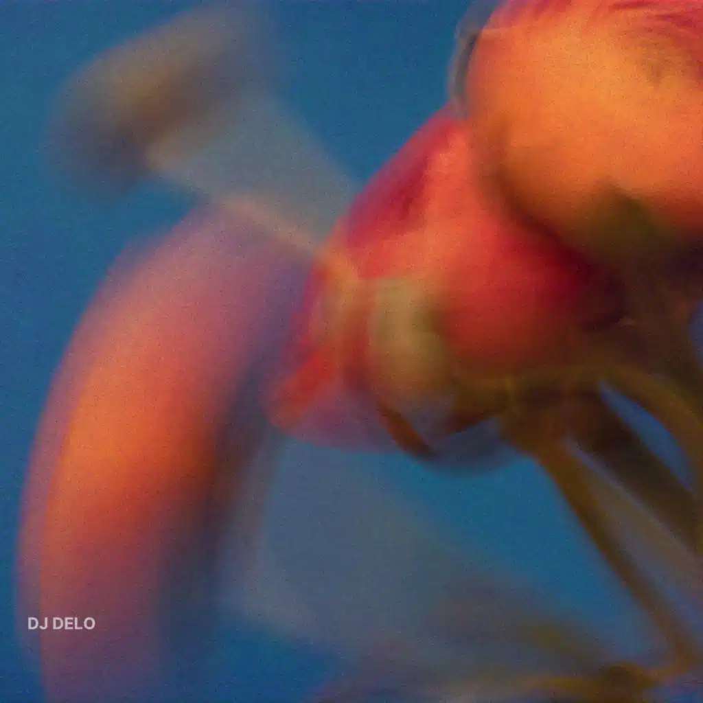 DJ DELO
