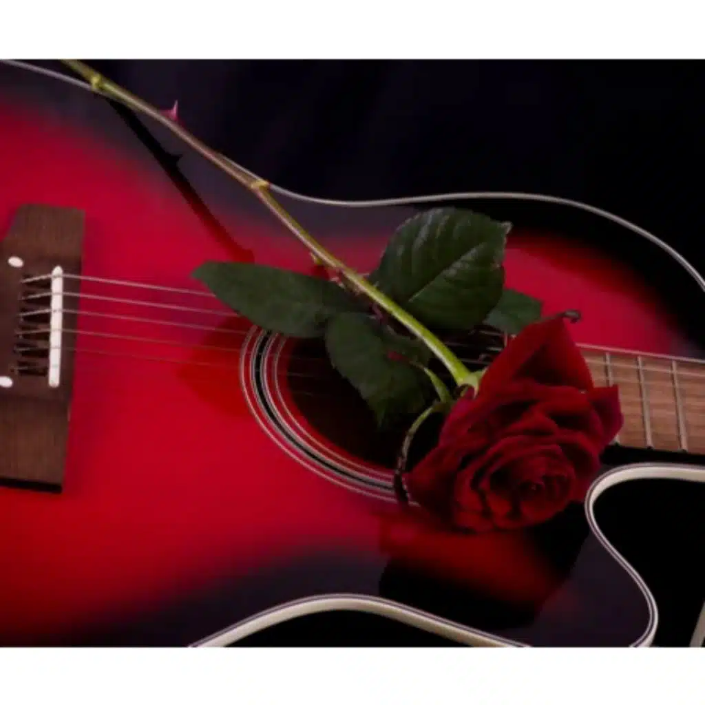 Amor e a paixão (feat. Priscila & Ana paula)