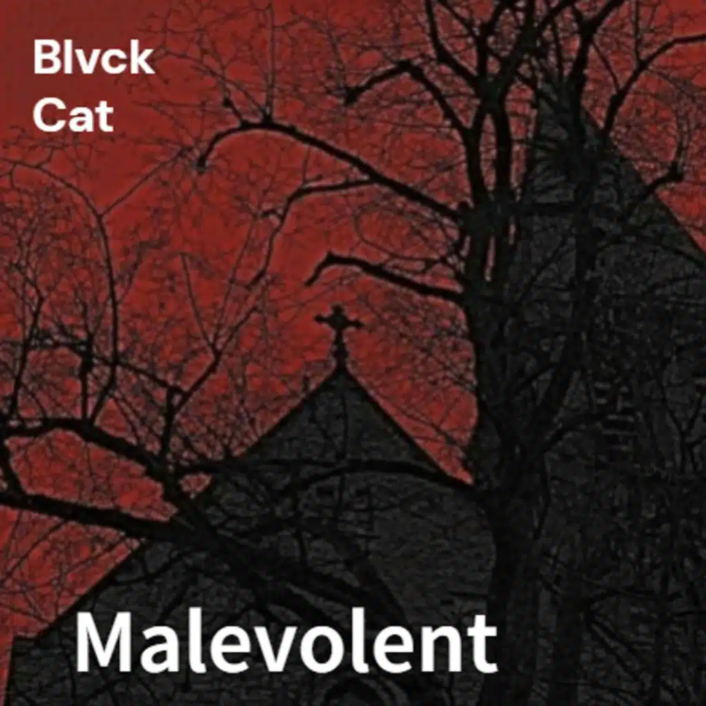 BLVCK CAT