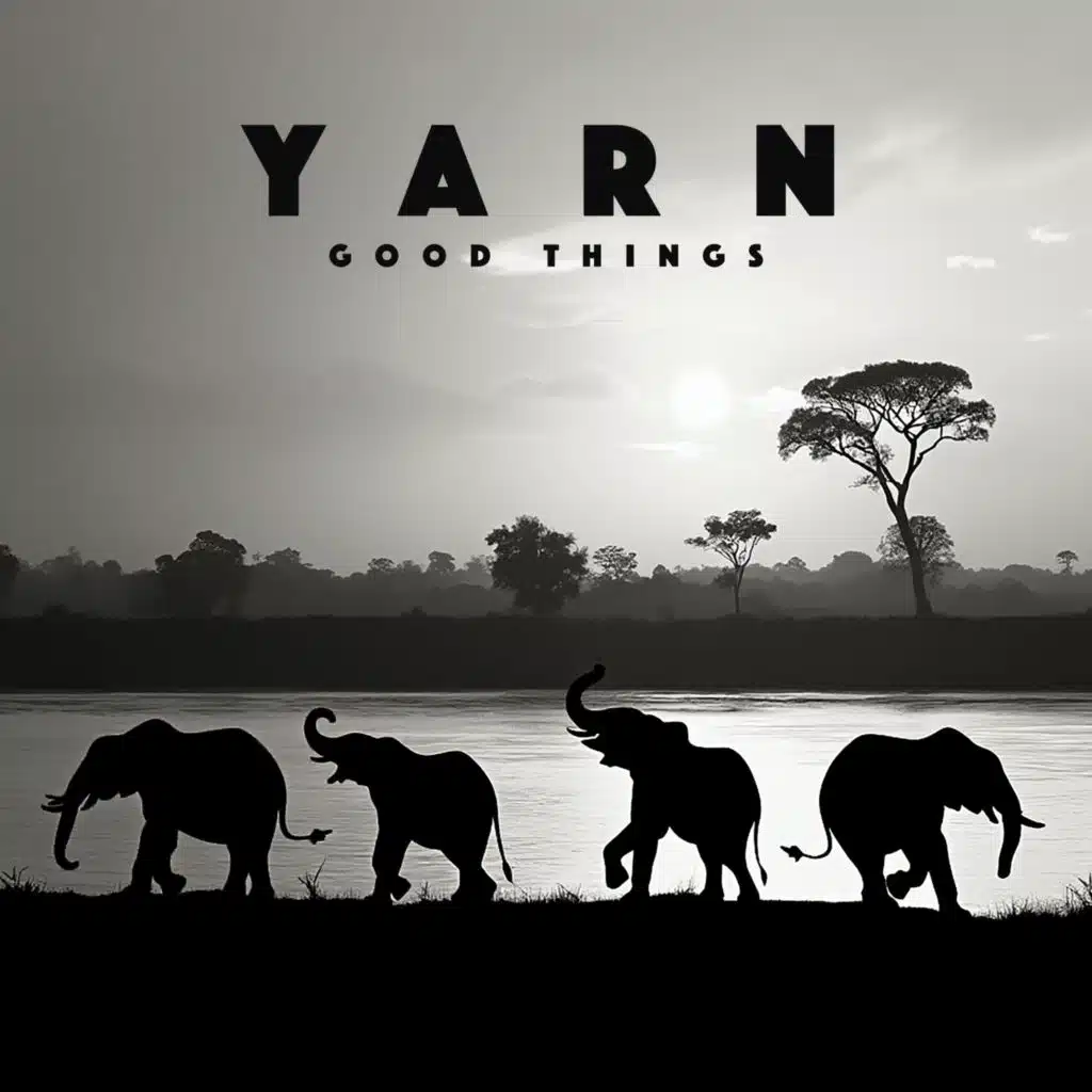 Yarn
