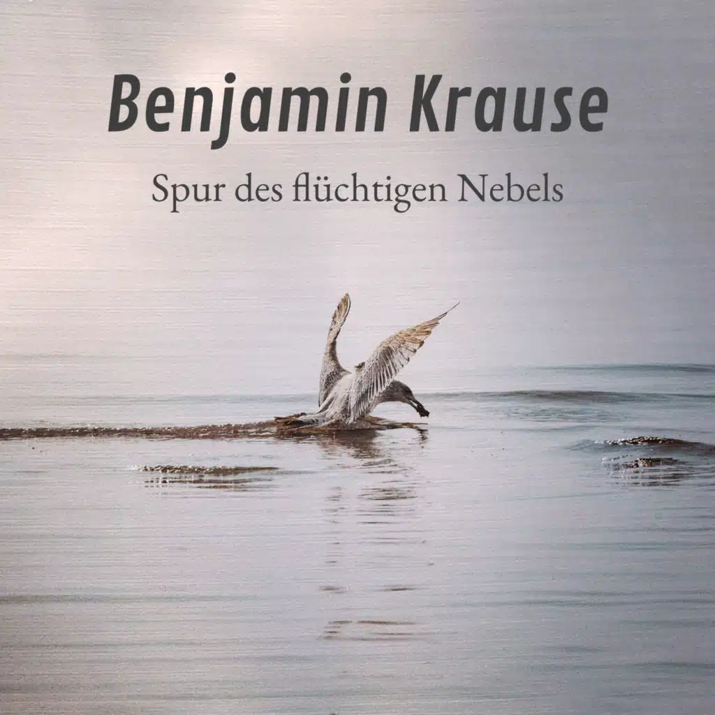 Spur des flüchtigen Nebels