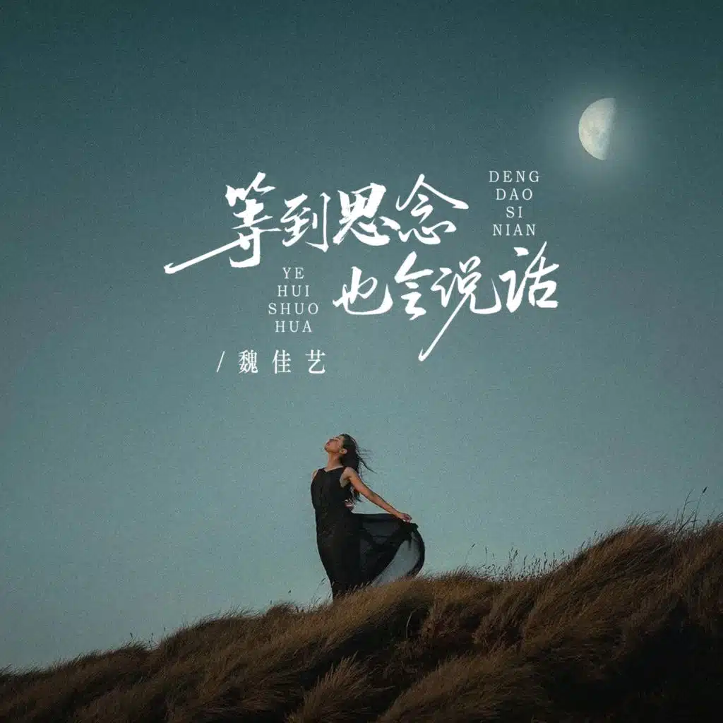 等到思念也会说话 (DJ阿尼版)