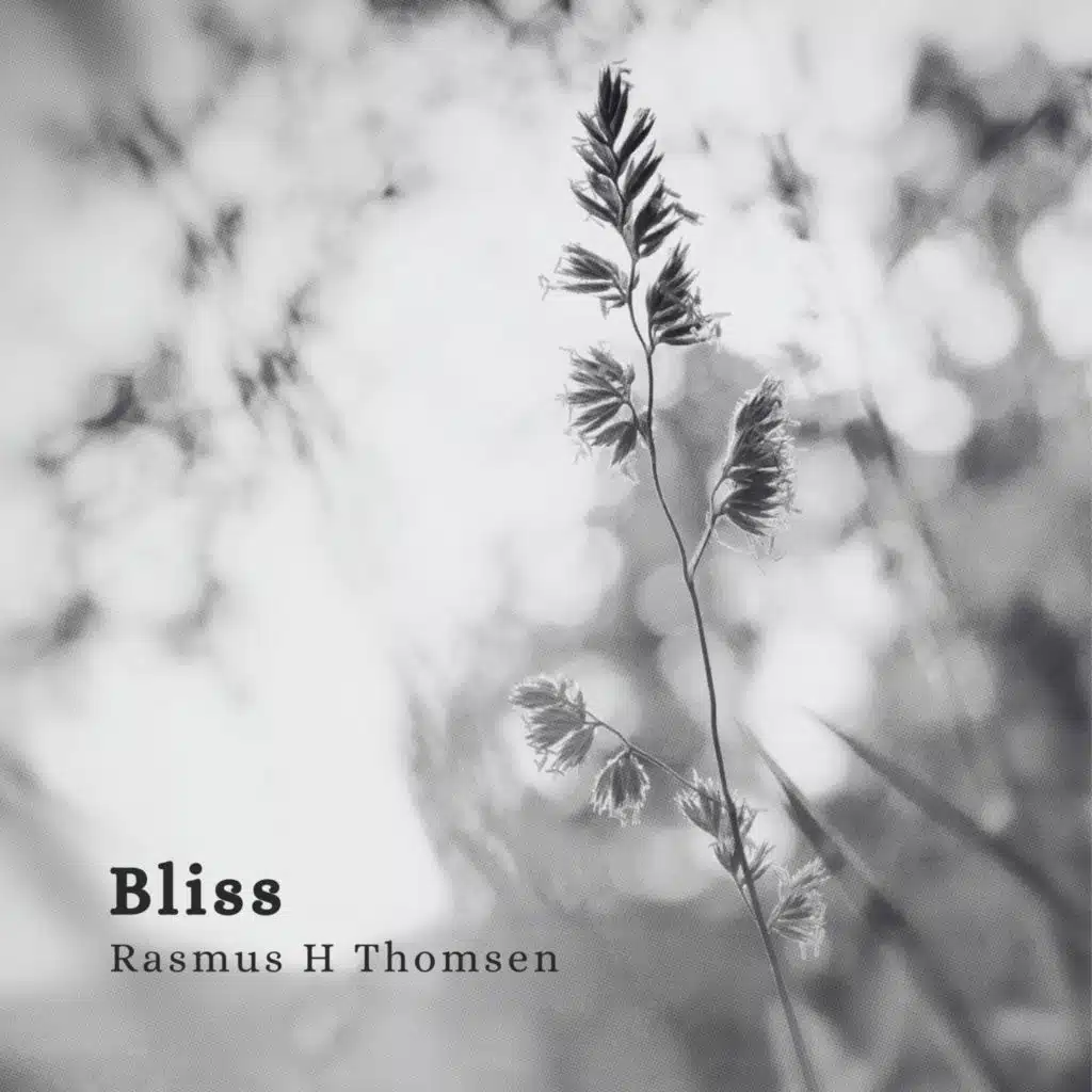 Rasmus H Thomsen