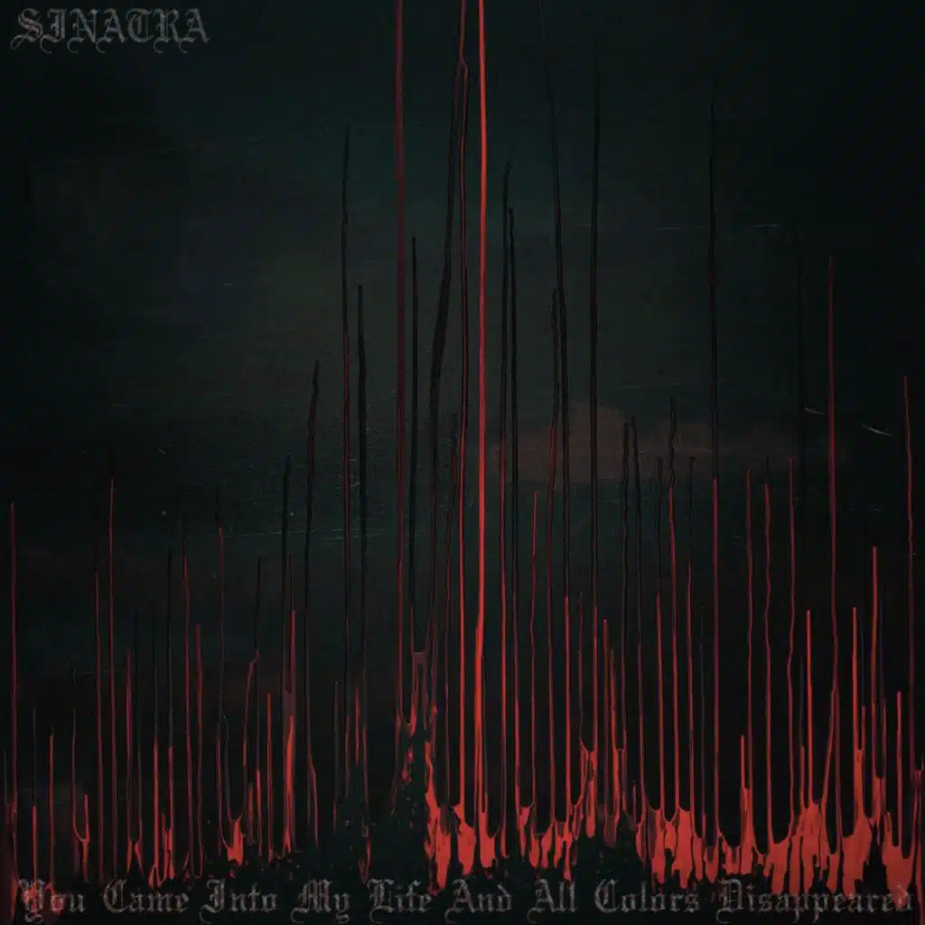 You Came Into My Life And All Colors Disappeared