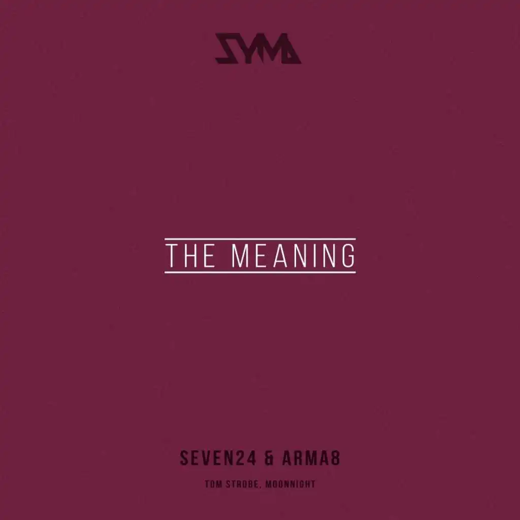 The Meaning (feat. Moonnight)