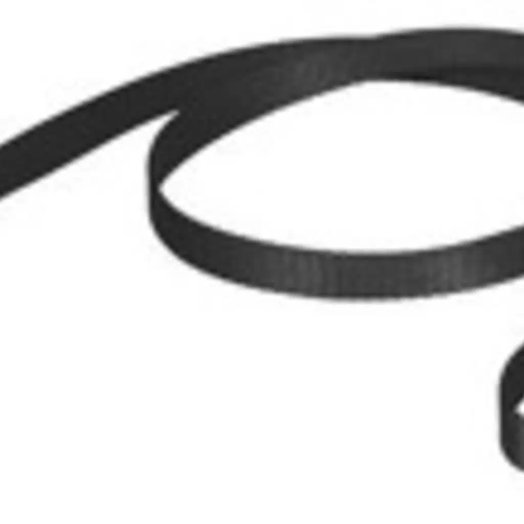 YNP #075: Different Types of Leash Walking Tools (Part 01: Leashes)