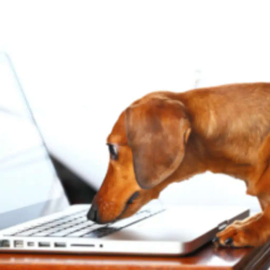 YNP #QA01:  Questions and Answers