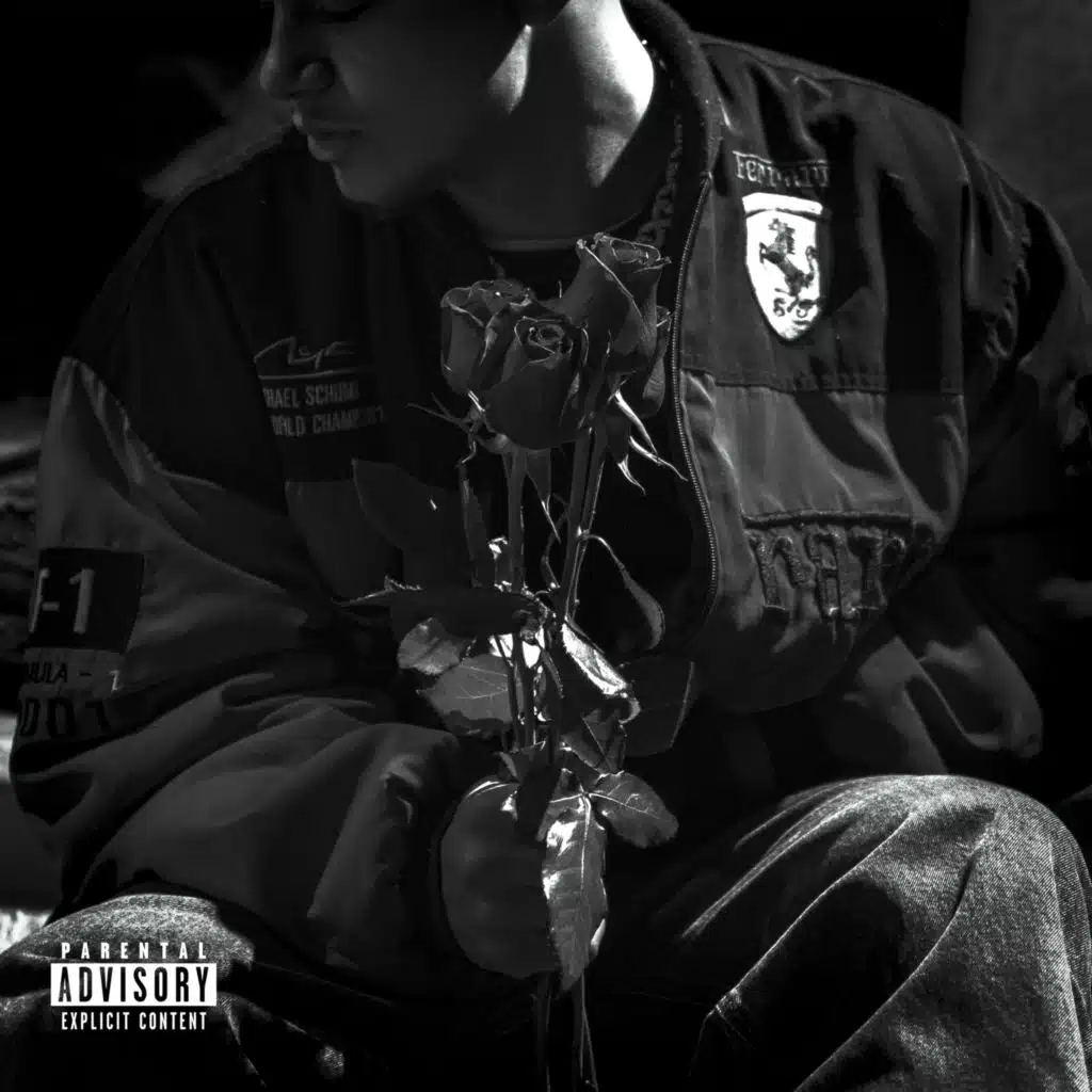 A Primavera Te Trouxe Rosas