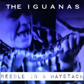 Needle in a Haystack